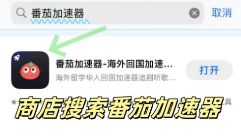nordvpn 翻墙回国教程