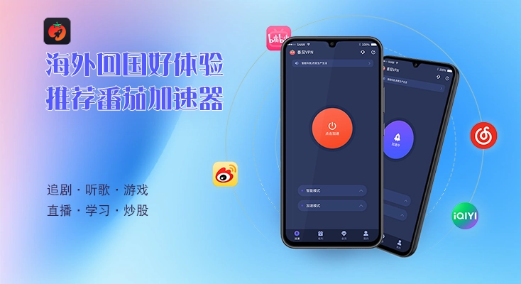 国外怎么看海鸥直播教程